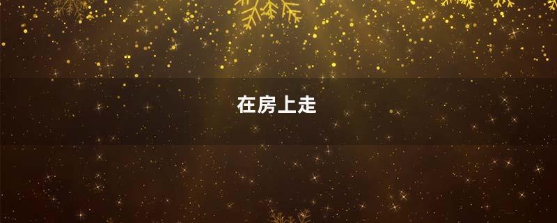 在房上走