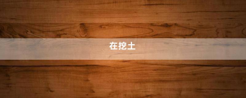 在挖土