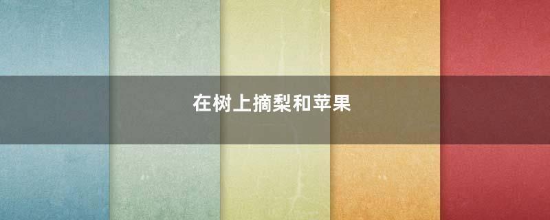 在树上摘梨和苹果