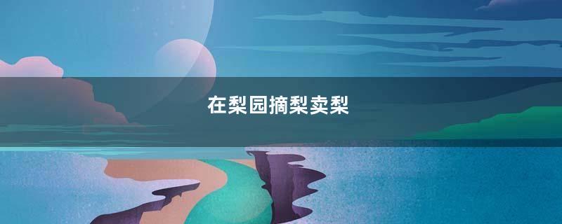 在梨园摘梨卖梨