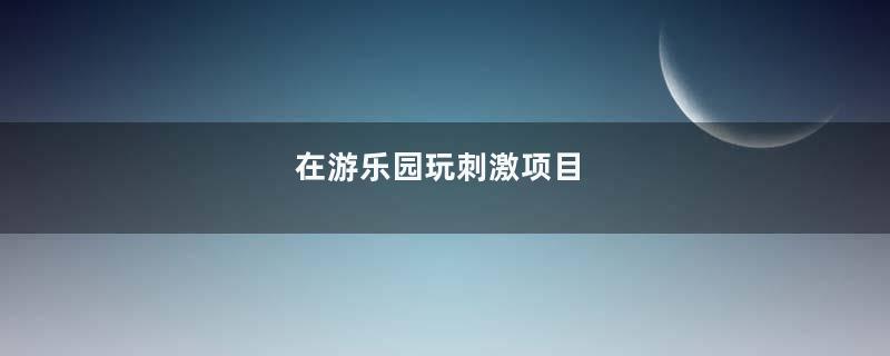 在游乐园玩刺激项目
