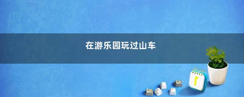 在游乐园玩过山车