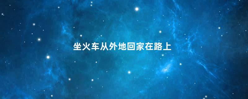 坐火车从外地回家在路上