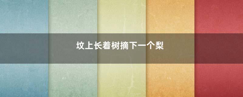 坟上长着树摘下一个梨