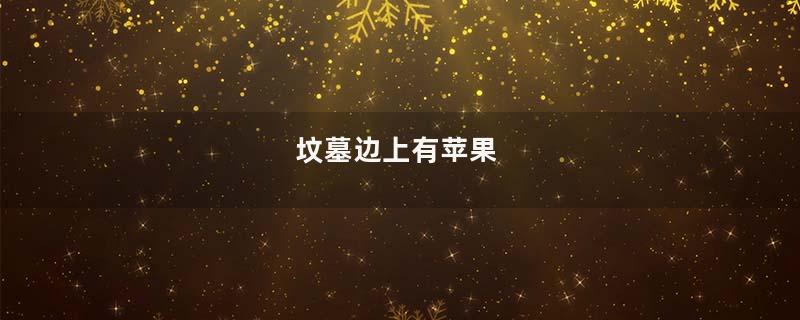 坟墓边上有苹果