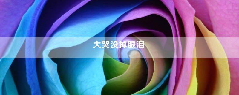 大哭没掉眼泪