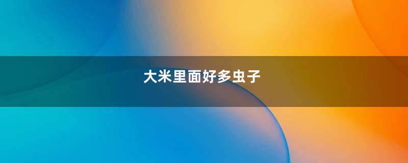 大米里面好多虫子