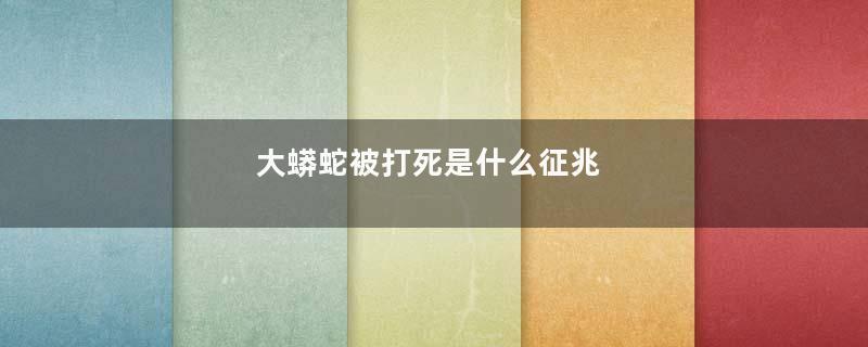 大蟒蛇被打死是什么征兆