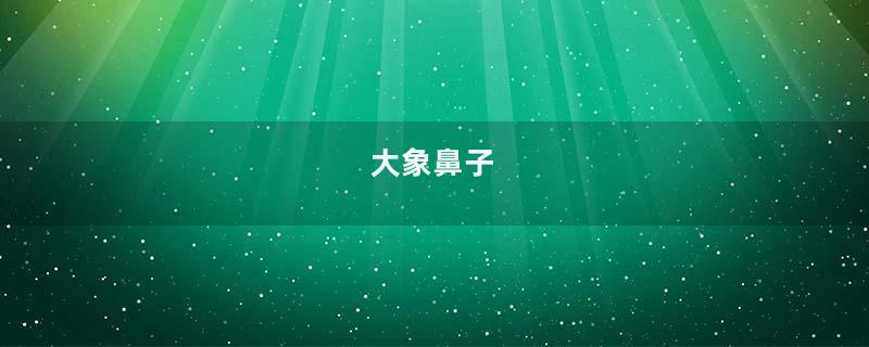 大象鼻子