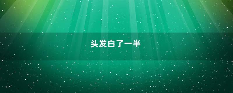 头发白了一半