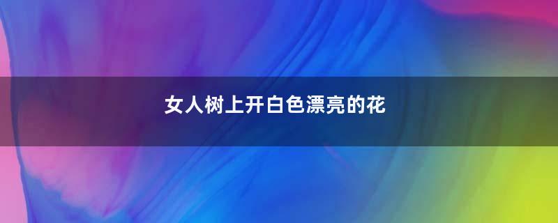 女人树上开白色漂亮的花