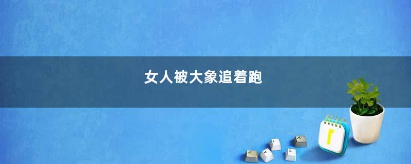 女人被大象追着跑