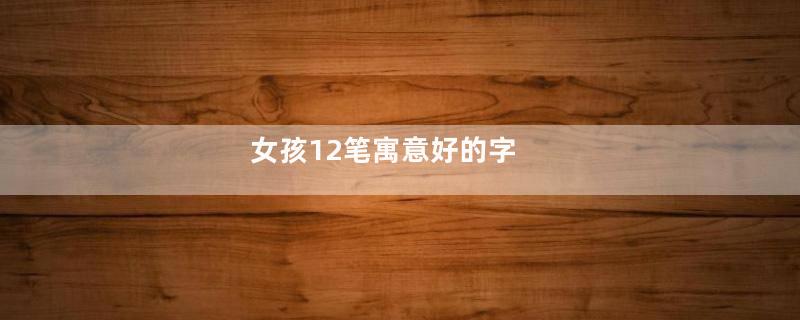 女孩12笔寓意好的字