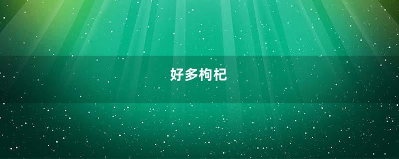 好多枸杞