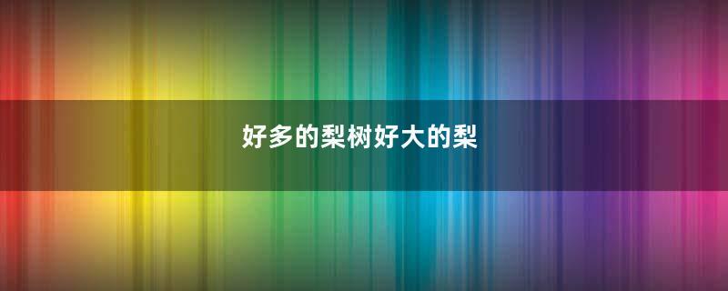 好多的梨树好大的梨