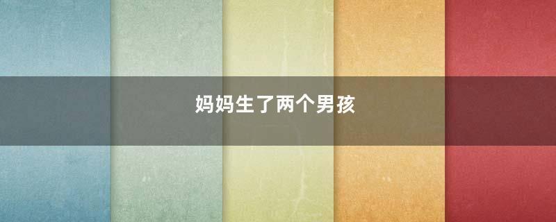 妈妈生了两个男孩