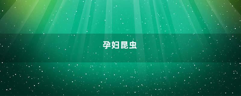 孕妇昆虫
