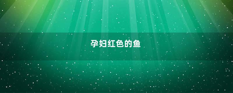 孕妇红色的鱼