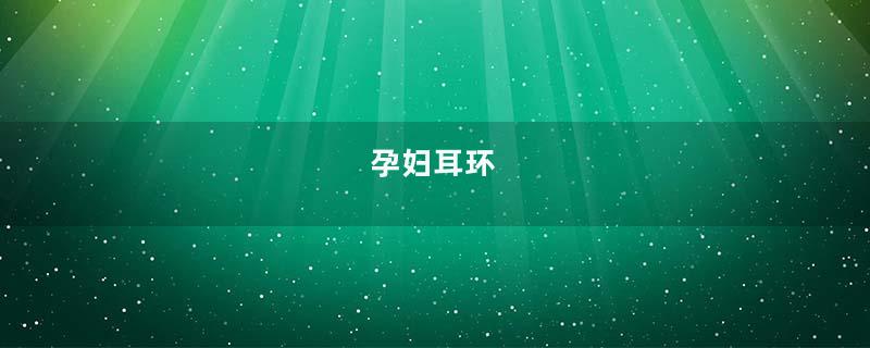 孕妇耳环