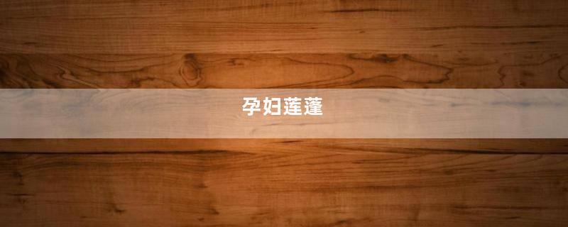 孕妇莲蓬