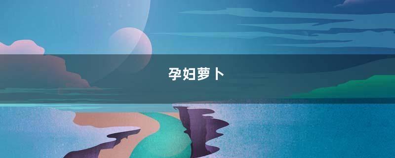 孕妇萝卜