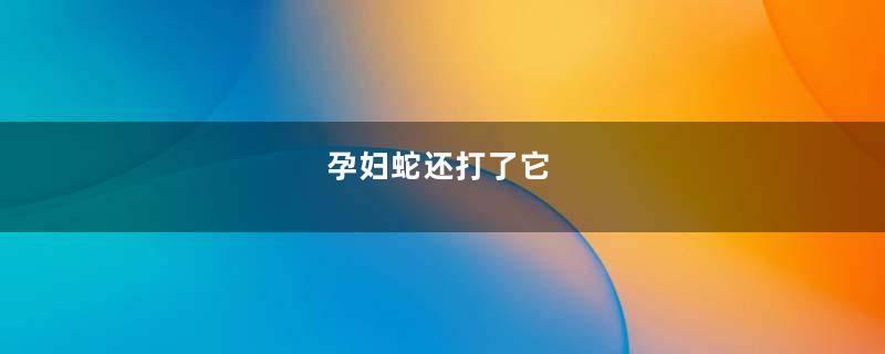 孕妇蛇还打了它