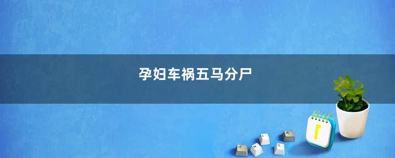 孕妇车祸五马分尸