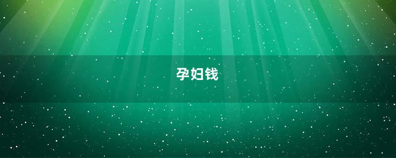孕妇钱