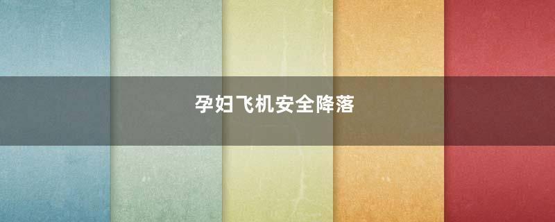 孕妇飞机安全降落