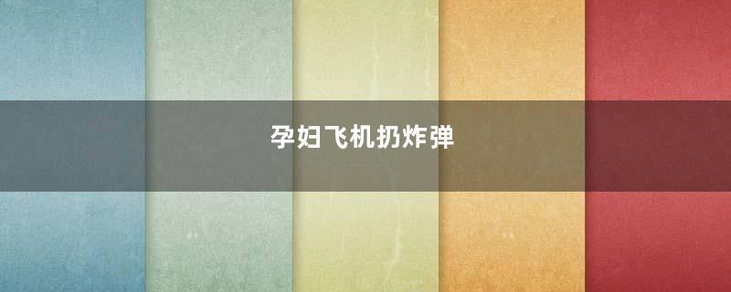 孕妇飞机扔炸弹