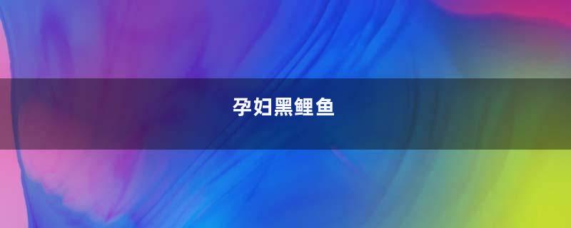 孕妇黑鲤鱼