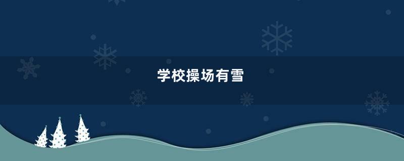 学校操场有雪