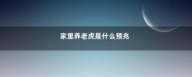 家里养老虎是什么预兆