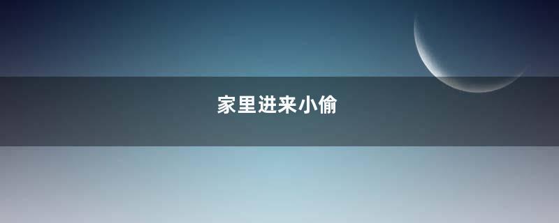 家里进来小偷