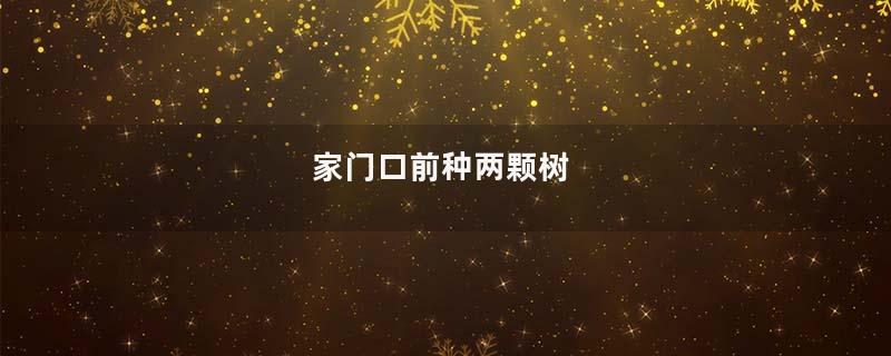 家门口前种两颗树