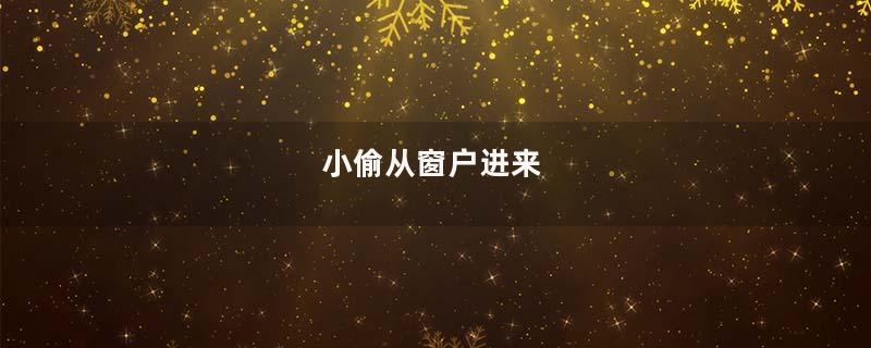 小偷从窗户进来