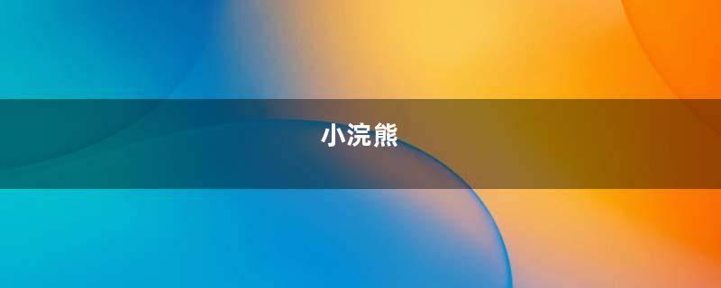 小浣熊