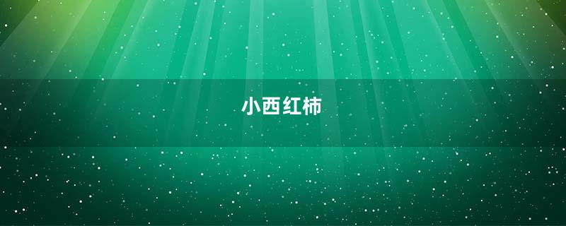 小西红柿
