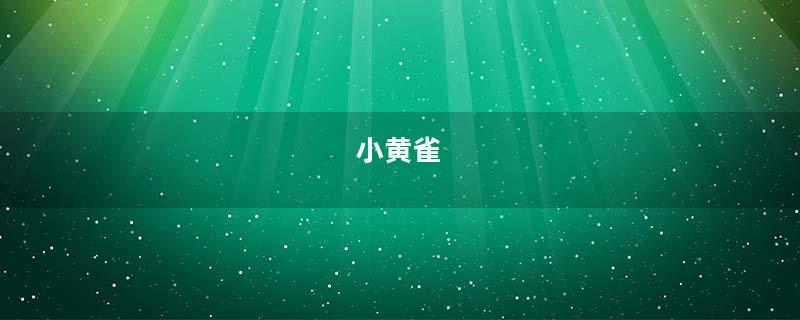 小黄雀