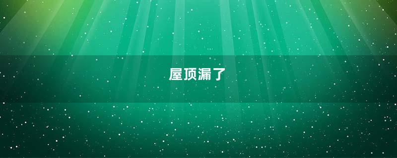 屋顶漏了