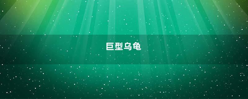 巨型乌龟