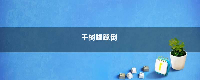 干树脚踩倒