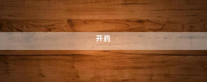 开药