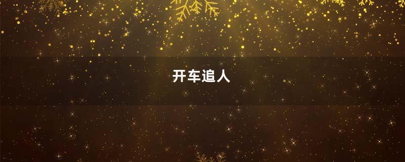 开车追人