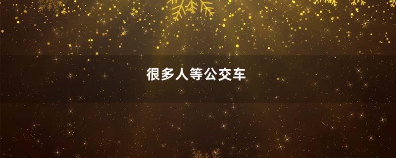 很多人等公交车