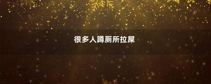 很多人蹲厕所拉屎