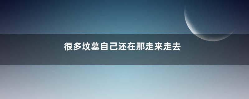 很多坟墓自己还在那走来走去