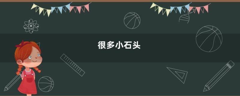 很多小石头