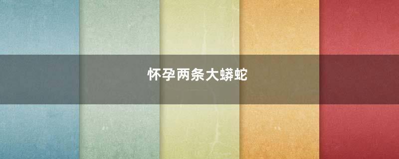 怀孕两条大蟒蛇