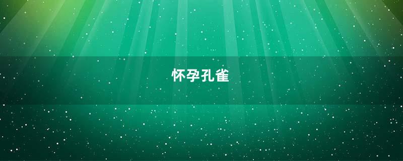 怀孕孔雀